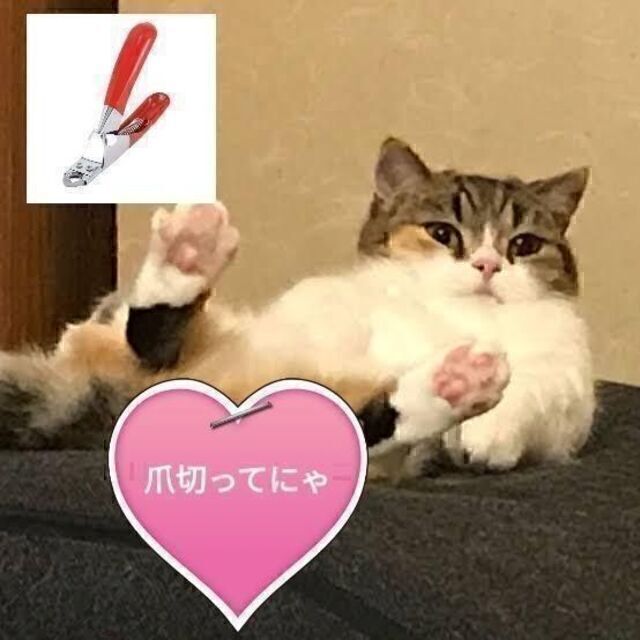 【RED　限界価格】猫用 犬用 つめ切り ペット用 ネイルトリマー DIY その他のペット用品(猫)の商品写真