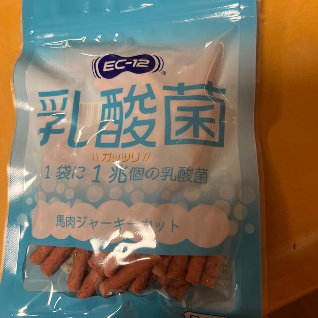 セレクトバランス乳酸菌ゴールド　おまけつき その他のペット用品(ペットフード)の商品写真