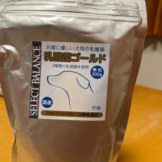 セレクトバランス乳酸菌ゴールド　おまけつき(ペットフード)