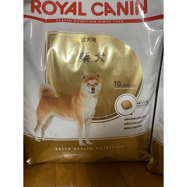 ロイヤルカナン柴犬成犬用8kg×2袋