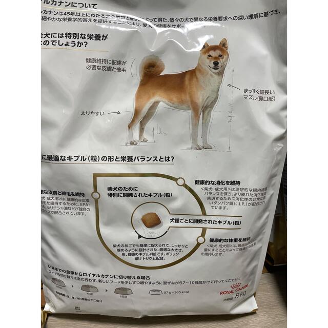 ロイヤルカナン柴犬成犬用8kg×2袋