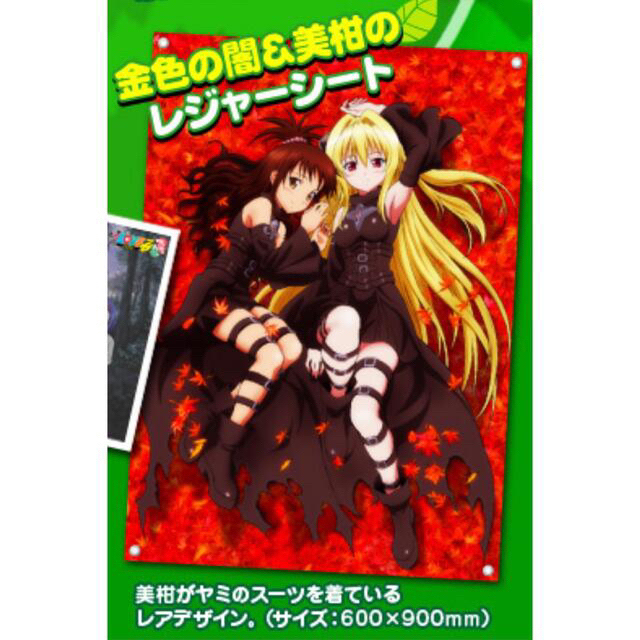 ToLOVEる-とらぶる-ワクワク!林間学校編 限定版 注目ショップ