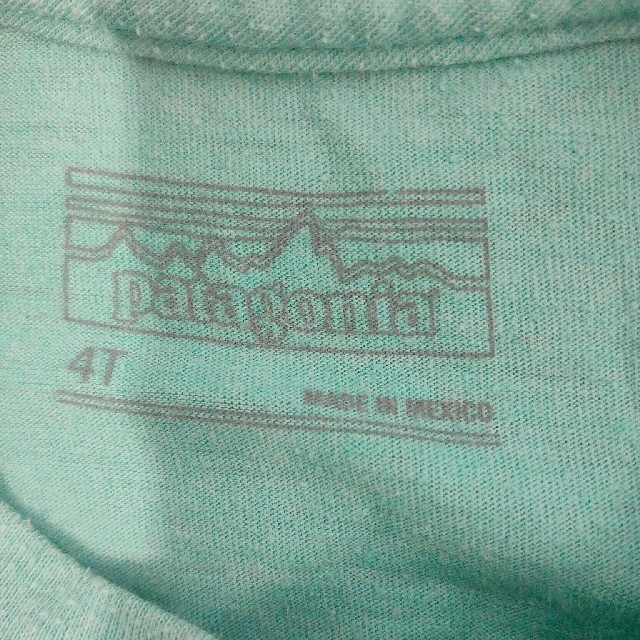 patagonia(パタゴニア)の【購入予約済】 Patagonia キッズ T  4T   100 110 キッズ/ベビー/マタニティのキッズ服男の子用(90cm~)(Tシャツ/カットソー)の商品写真