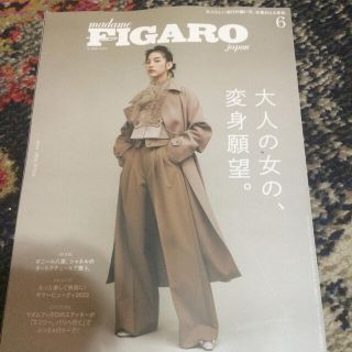 madame FIGARO japon (フィガロ ジャポン) 2022年 06(ファッション)