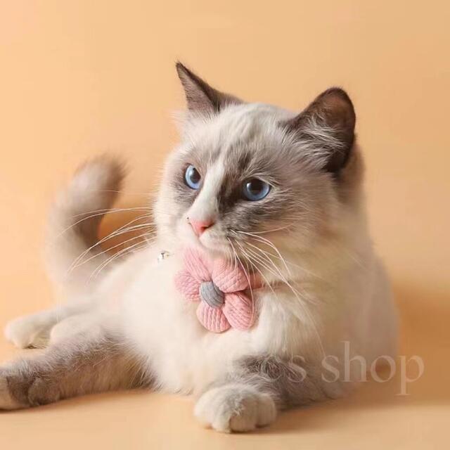 猫首輪 犬首輪 太陽花 ペットネックレス 鈴付き 可愛い首飾り お花首輪 ピンクの通販 by Cc's Shop|ラクマ
