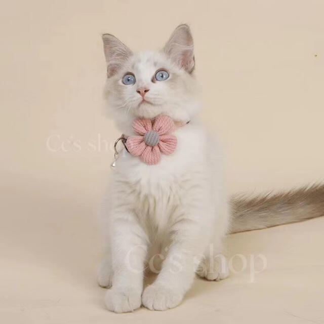 猫首輪 犬首輪 太陽花 ペットネックレス 鈴付き 可愛い首飾り お花首輪 ピンクの通販 by Cc's Shop|ラクマ