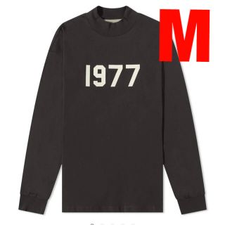 フィアオブゴッド(FEAR OF GOD)のFOG Essentials 1977 Iron Long Sleeve Tee(Tシャツ/カットソー(七分/長袖))