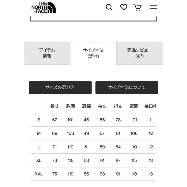 THE NORTH FACE(ザノースフェイス)のノースフェイス スリーブグラフィックティー　NT32042 タグ付き新品 メンズのトップス(Tシャツ/カットソー(七分/長袖))の商品写真