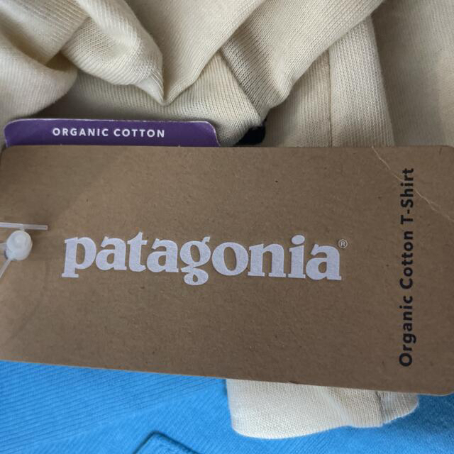 patagonia(パタゴニア)のオーガニックコットンTシャツ メンズのトップス(Tシャツ/カットソー(半袖/袖なし))の商品写真