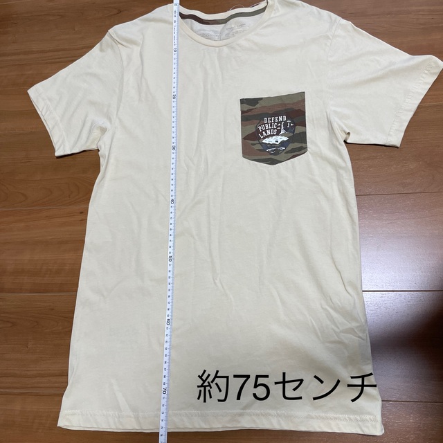 patagonia(パタゴニア)のオーガニックコットンTシャツ メンズのトップス(Tシャツ/カットソー(半袖/袖なし))の商品写真