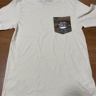 パタゴニア(patagonia)のオーガニックコットンTシャツ(Tシャツ/カットソー(半袖/袖なし))