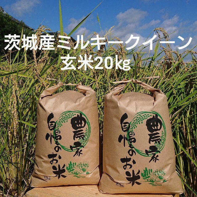 茨城令和3年産ミルキークイーン玄米20㎏食品