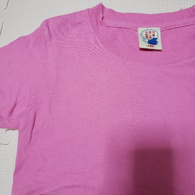 沖縄　美ら海水族館　お土産　Tシャツ　ジンベエザメ キッズ/ベビー/マタニティのキッズ服女の子用(90cm~)(Tシャツ/カットソー)の商品写真