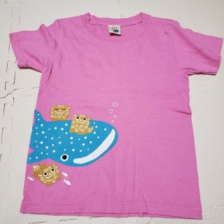 沖縄　美ら海水族館　お土産　Tシャツ　ジンベエザメ(Tシャツ/カットソー)