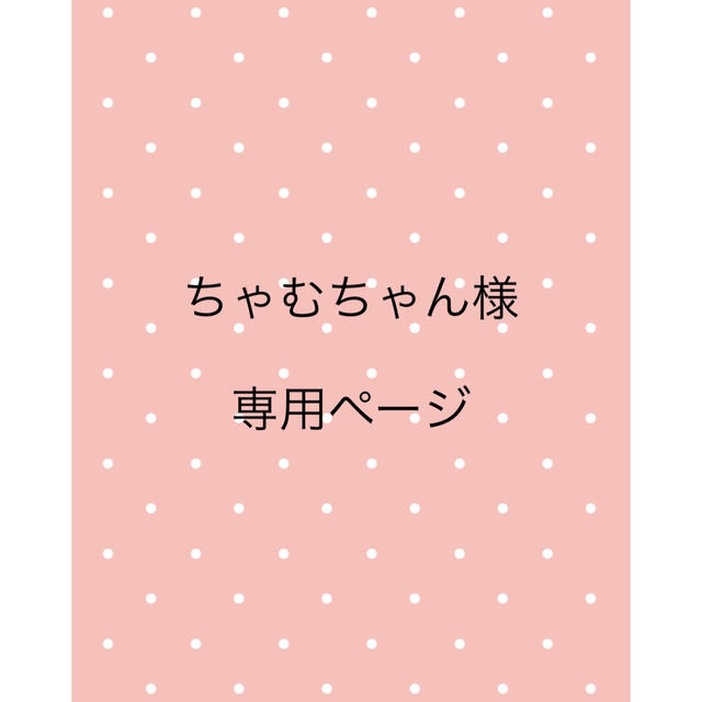 ★ちゃむちゃん様 確認用ページ★ ハンドメイドのキッズ/ベビー(外出用品)の商品写真