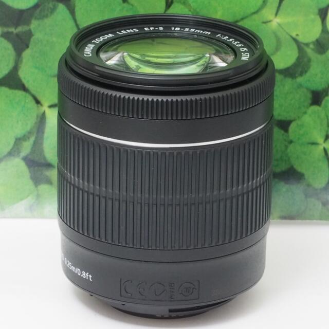 【美品】キヤノンEF-S18-55mm STM標準ズーム❤️音が静かで動画で活躍