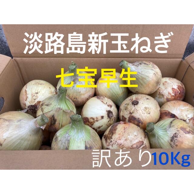 ★訳あり10Kg★淡路島新玉ねぎ　たまねぎ　玉葱 食品/飲料/酒の食品(野菜)の商品写真