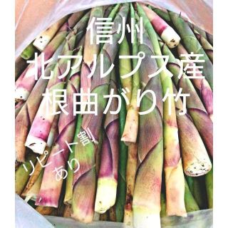 根曲がり竹　信州北アルプス産　ネマガリタケ　ネマガリダケ　天然　山菜(野菜)