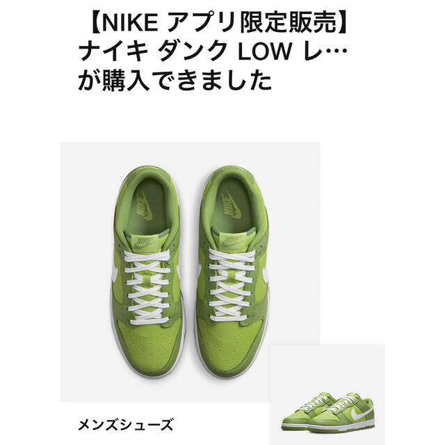 NIKE(ナイキ)のナイキ アプリ購入 NIKE DUNK LOW RETRO  27cm メンズの靴/シューズ(スニーカー)の商品写真