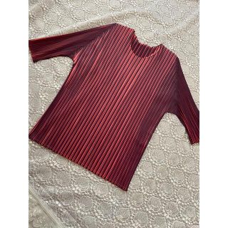 プリーツプリーズイッセイミヤケ(PLEATS PLEASE ISSEY MIYAKE)のイッセイミヤケpleats pleaseトップス(カットソー(長袖/七分))