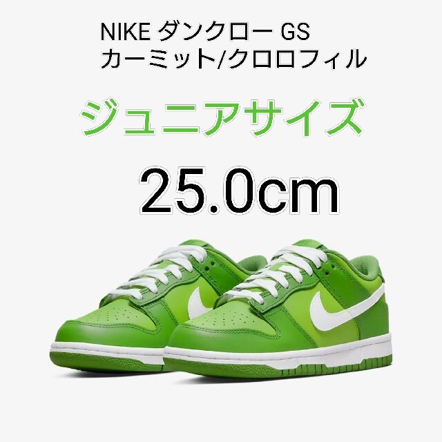 NIKE ダンクロー GS カーミット/クロロフィル ナイキ 50周年限定