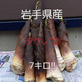 岩手県産  タケノコ  筍  無農薬  採れたて  7キロ!!!3(野菜)
