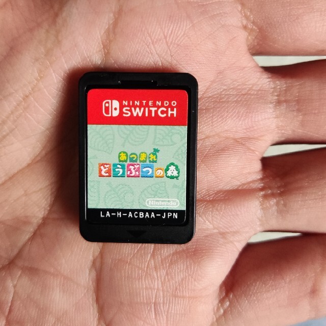 Nintendo Switch Lite + 動物の森/ケース/メモリカード