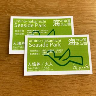 海の中道海浜公園チケット(遊園地/テーマパーク)