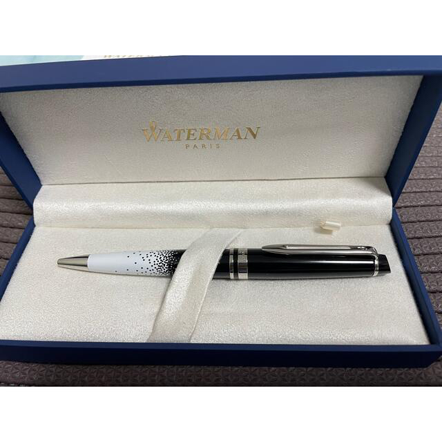 ペン/マーカーWATERMAN エキスパートオンブルエルミエールCTボールペン1本