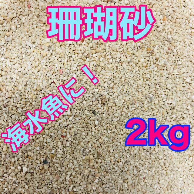 天然珊瑚砂 2kg さんご砂 サンゴ砂 ろ材 海水水槽 ヤドカリ グッピー その他のペット用品(アクアリウム)の商品写真