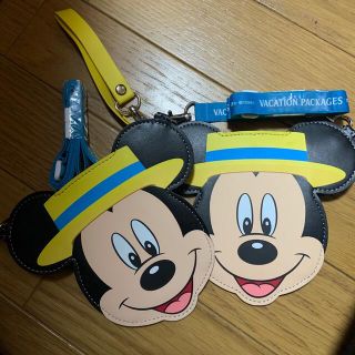 ディズニー(Disney)のディズニーバケパ(遊園地/テーマパーク)