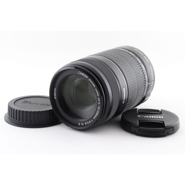 売る Canon EF-S 55-250mm F4-5.6 IS Ⅱ 望遠レンズ | www.takalamtech.com