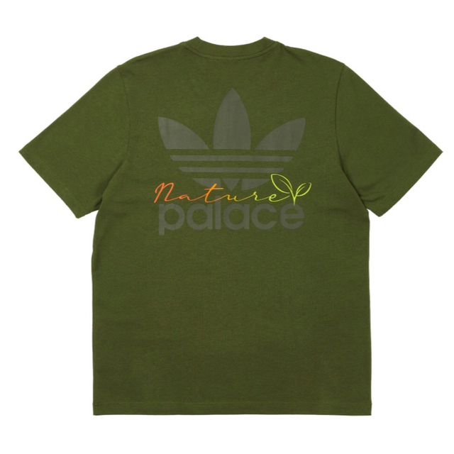 L ADIDAS PALACE NATURE TEE Wild Pine