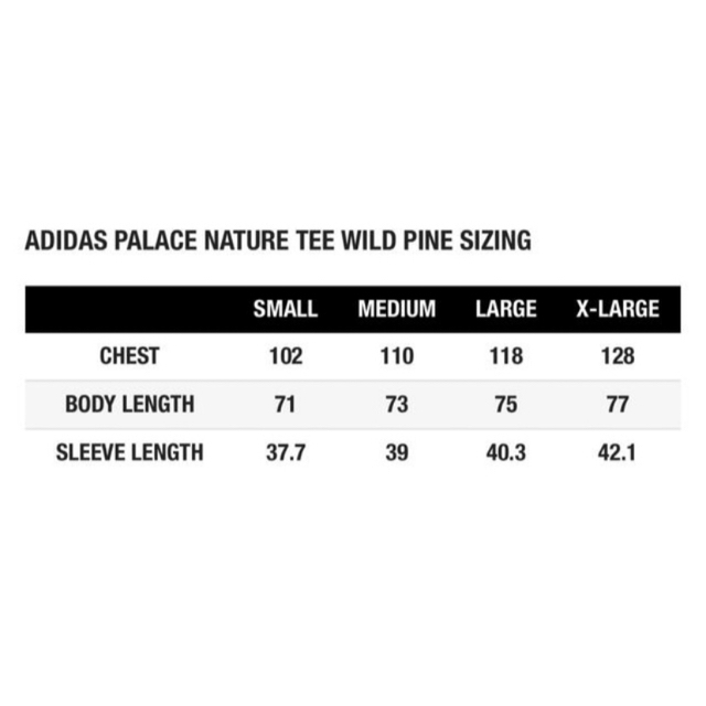 L ADIDAS PALACE NATURE TEE Wild Pine