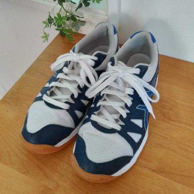 asics(アシックス)のアシックス　シューズ　TSY102　青　24.0cm キッズ/ベビー/マタニティのキッズ靴/シューズ(15cm~)(スクールシューズ/上履き)の商品写真