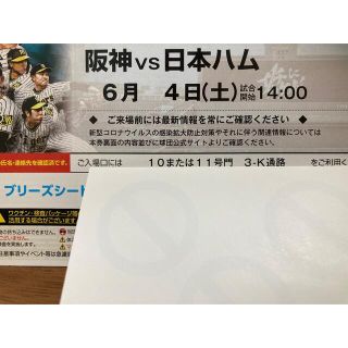 ハンシンタイガース(阪神タイガース)の阪神-日本ハム6/4(土)ブリーズシート通路横ペア(野球)