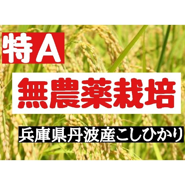 兵庫県丹波産こしひかり精米9kg(令和3年産)