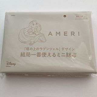 ラプンツェル(ラプンツェル)のオトナミューズ　付録(財布)