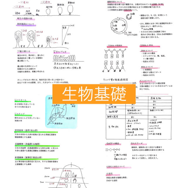 2023 高卒認定最速合格まとめノート8科目入り