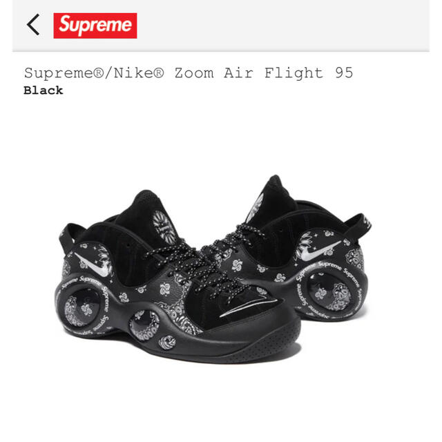 Supreme × Nike Air Zoom Flight 95 SP