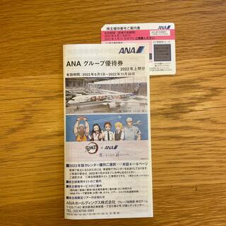 エーエヌエー(ゼンニッポンクウユ)(ANA(全日本空輸))のANAの株主優待券１枚とクーポン付き冊子(その他)