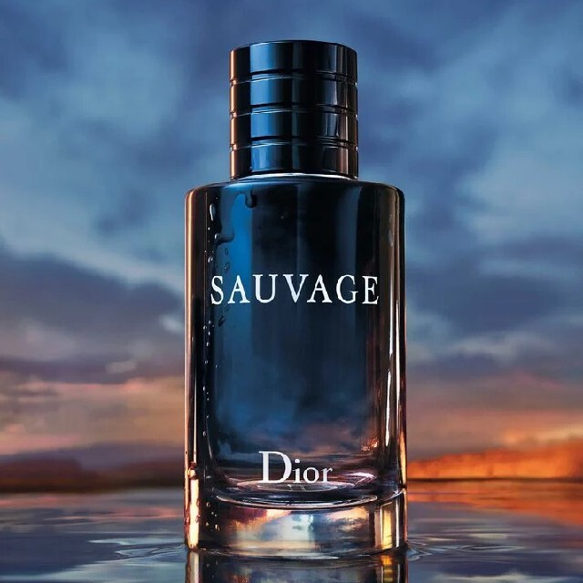日本人気超絶の   Dior  SAUVAGE - Dior EAU 新品100ml TOILE DE 香水(男性用)