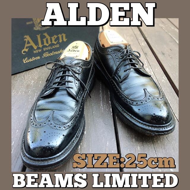 おトク】 ALDEN ウイングチップシューズ ecousarecycling.com