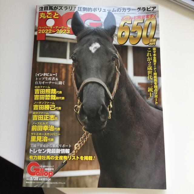 Gallop臨時創刊　丸ごとPOG 2022〜2023 エンタメ/ホビーの雑誌(趣味/スポーツ)の商品写真