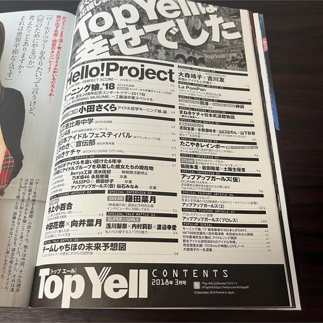 Top Yell (トップエール) 2018年 03月号 エンタメ/ホビーの雑誌(アート/エンタメ/ホビー)の商品写真