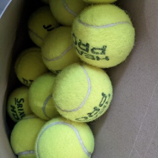 テニスボール　12個(ボール)