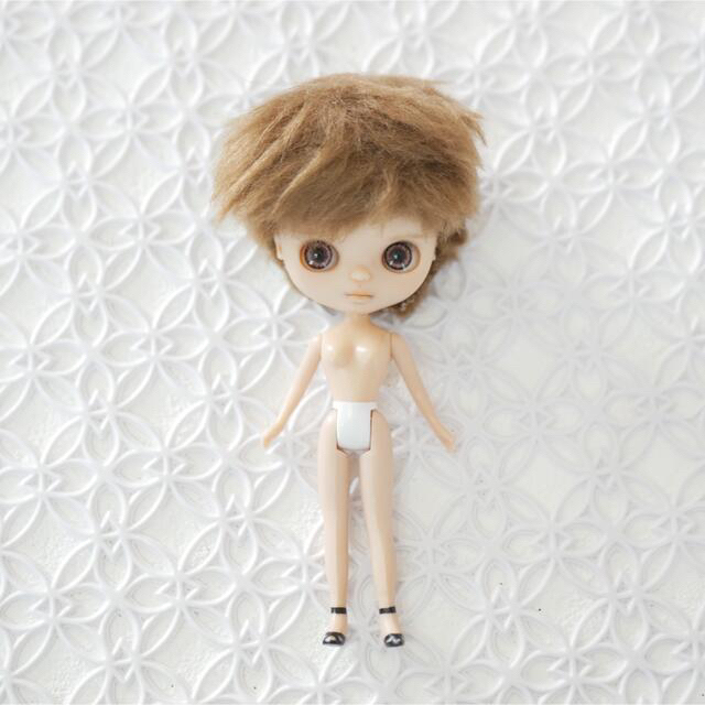 正式的 専用shino.doll No.405カスタムプチブライス 男の子 カリビアン