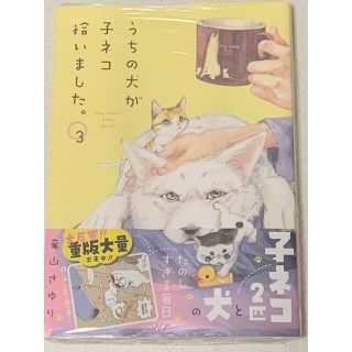 ショウガクカン(小学館)のうちの犬が子ネコ拾いました。 ３(少女漫画)