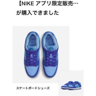 ナイキ(NIKE)のナイキ SB ダンクロー プロ(スニーカー)