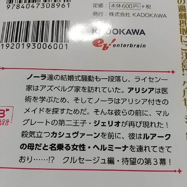 死神姫の再婚 彷徨える秘密の貴公子 エンタメ/ホビーの本(文学/小説)の商品写真